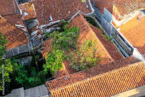 Residential houses in Java, Indonesia, with red-tiled roofs, lush greenery, and a cozy traditional atmosphere. Some roofs have overgrown plants, blending nature with urban living.