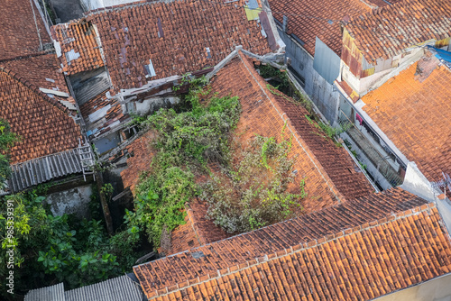 Obraz na płótnie Residential houses in Java, Indonesia, with red-tiled roofs, lush greenery, and a cozy traditional atmosphere. Some roofs have overgrown plants, blending nature with urban living. w salonie