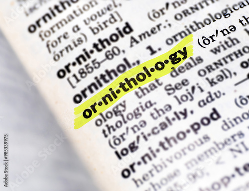 Highlighted dictionary definition of the word ornithology