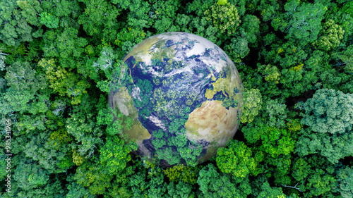 Aerial top view of green forest tree and global globe, Tropical rain forest tree ecosystem and healthy environment, Texture and background of green tree forest, Global warming save earth.