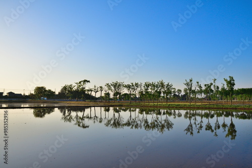 夏井のはさ木（新潟県） photo