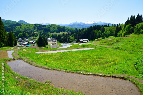 北五百川の棚田（新潟県）