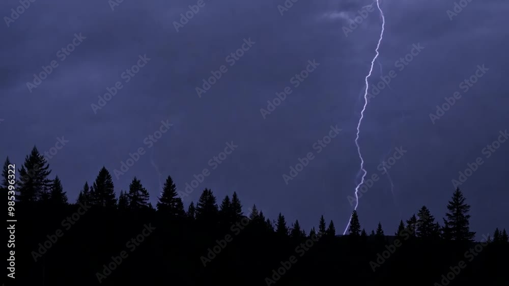 Breathtaking footage of the lightning striking over a dense evergreen forest during a thunderstorm