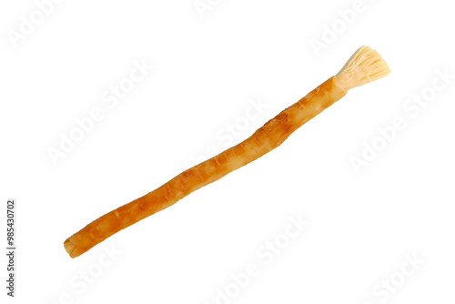 A stick of miswak, traditional sunnah toothbrush, Muslim toothbrush