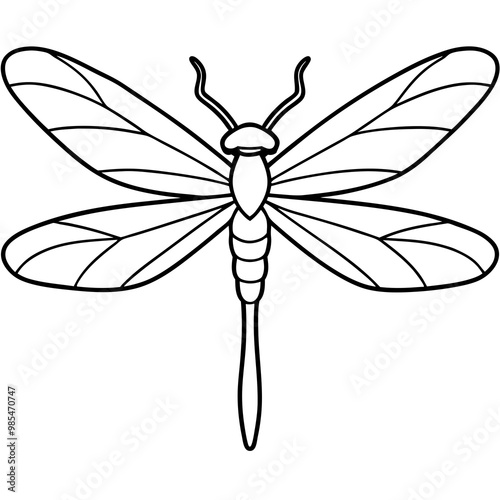 Intricate Dragonfly Wings Line Art Vector