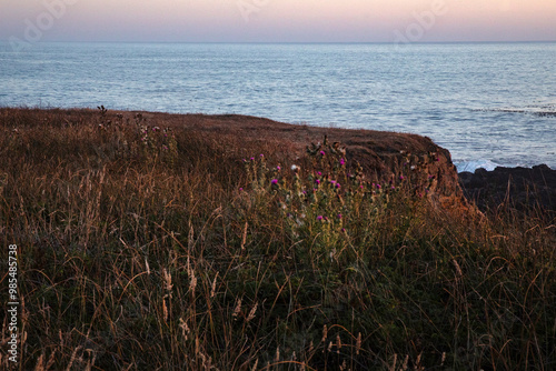 View of the Pacific Ocean along the California Coast, Mendocino, United States.