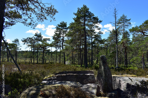 Obelisk mitten in einem schwedischen Naturreservat photo