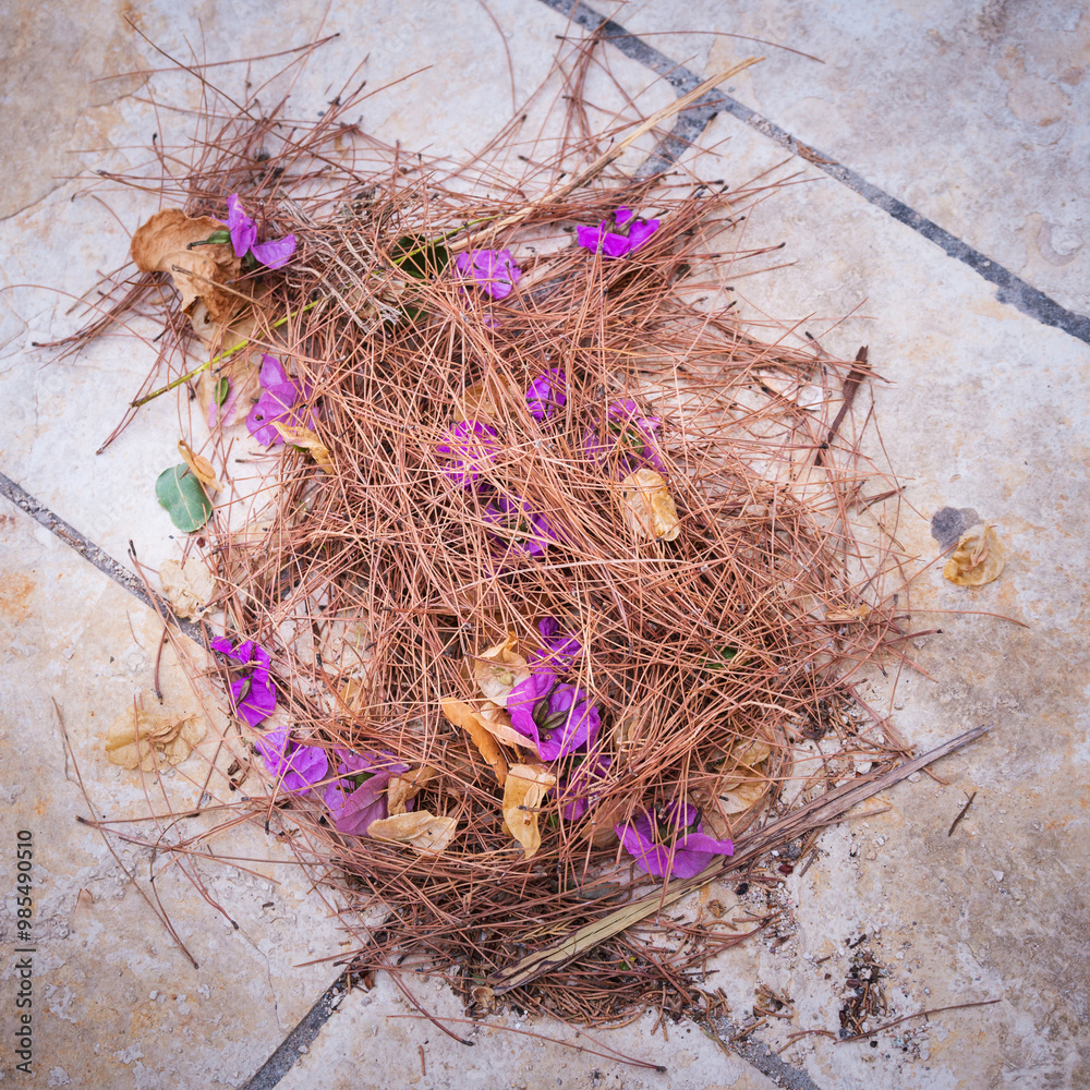 Naklejka premium Pile of pine needles