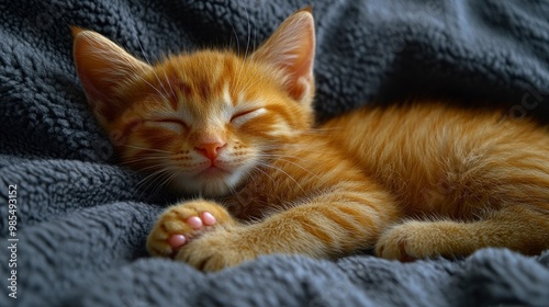 Cute Orange Kitten Sleeping on a Blanket