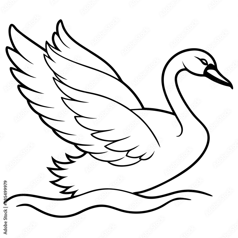Obraz premium Swan Stretching Wings Above Water Detailed Line Art Vector