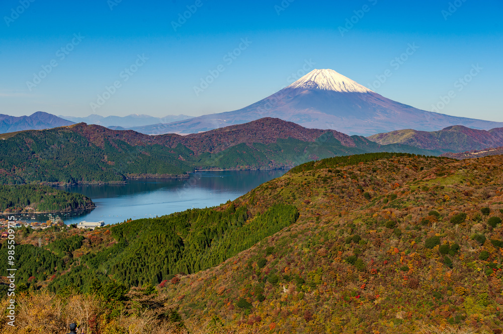 Fototapeta premium 富士山と芦ノ湖を望む箱根大観峰からの紅葉風景