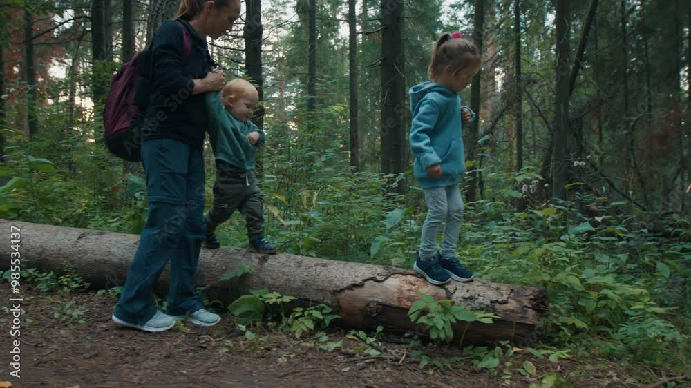 Family hiking in the dark forest. Mother with kids walk in the forest Family hiking in the dark forest. Mother with kids walk in the forest
