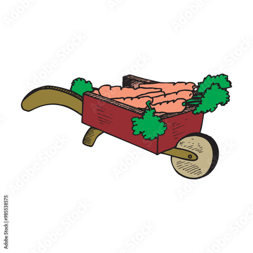 Carrots in Wheelbarrow vector design illustration