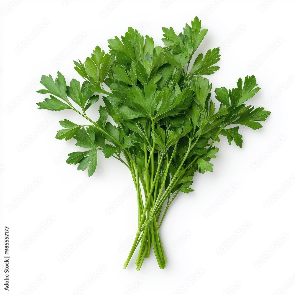 Fresh parsley isolated on a white background. Fresh parsley isolated on a white background.