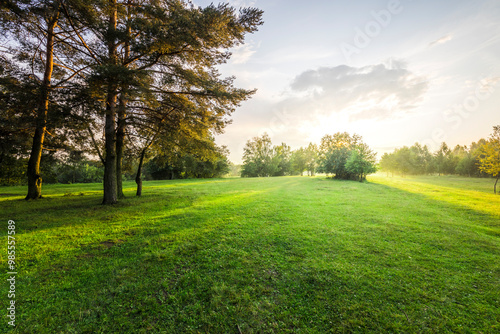 A large, open field with trees in the background