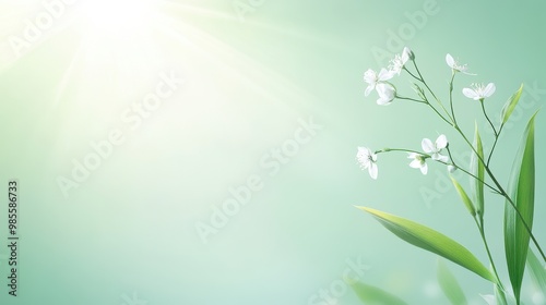 Fresh, light green background with a hint of brightness, giving an airy and clean feel, ideal for spring themes.