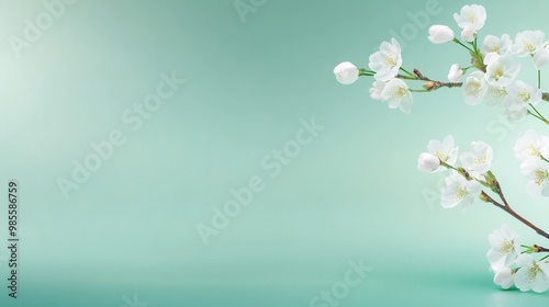 Fresh, light green background with a hint of brightness, giving an airy and clean feel, ideal for spring themes.