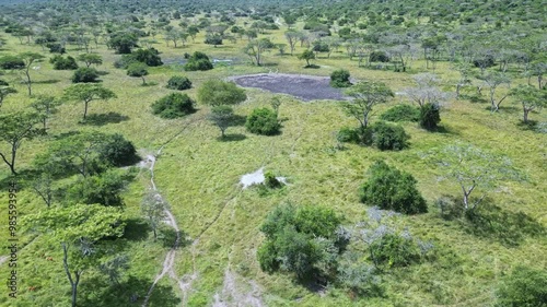 A landscape shows African savanna, Queen Elizabeth National Park, Uganda