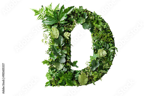 Letter D with Green Leaves and Botanical Typography, Nature-Inspired Alphabet Design on Transparent Background, Perfect for Eco-Friendly and Decorative Themes