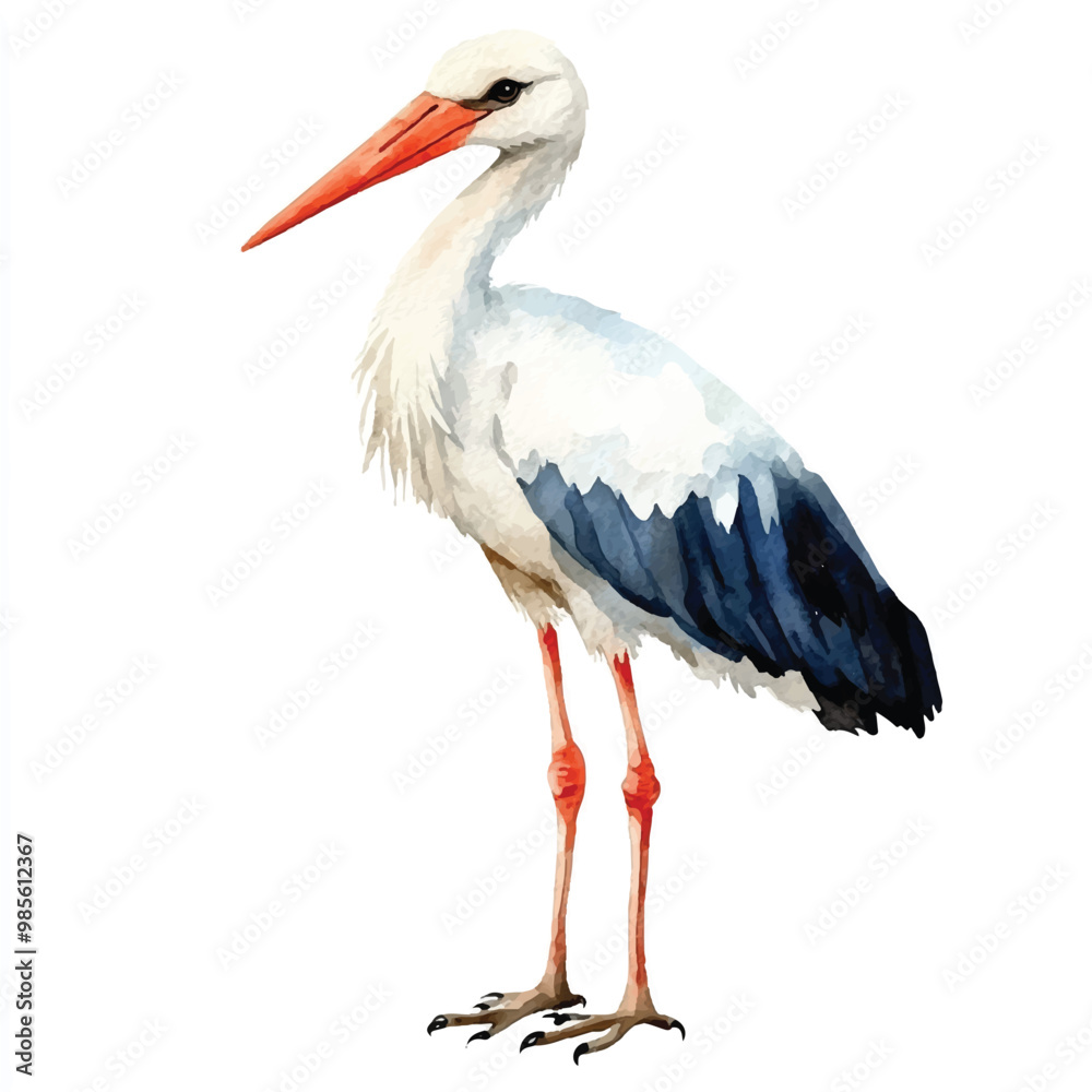 Fototapeta premium Stork watercolor clipart illustration isolated