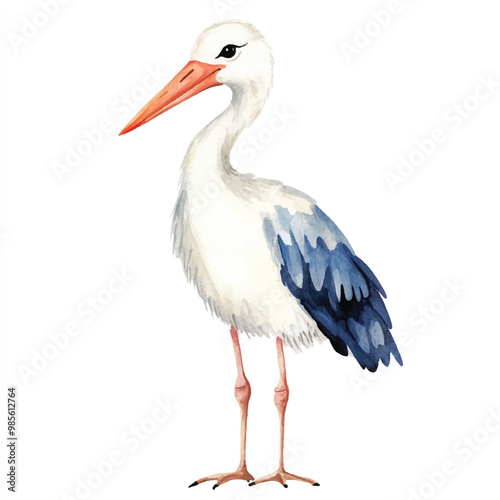 Stork watercolor clipart illustration isolated