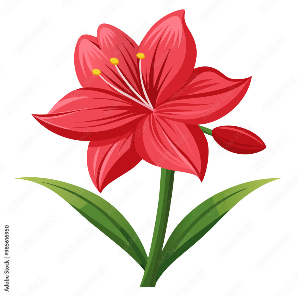 Illustration of Elegant Amaryllis, Elegant Amaryllis Flower Vector Illustration - Cluster of Blooms with Vibrant Stamens, Perfect for Weddings and Spring Decor