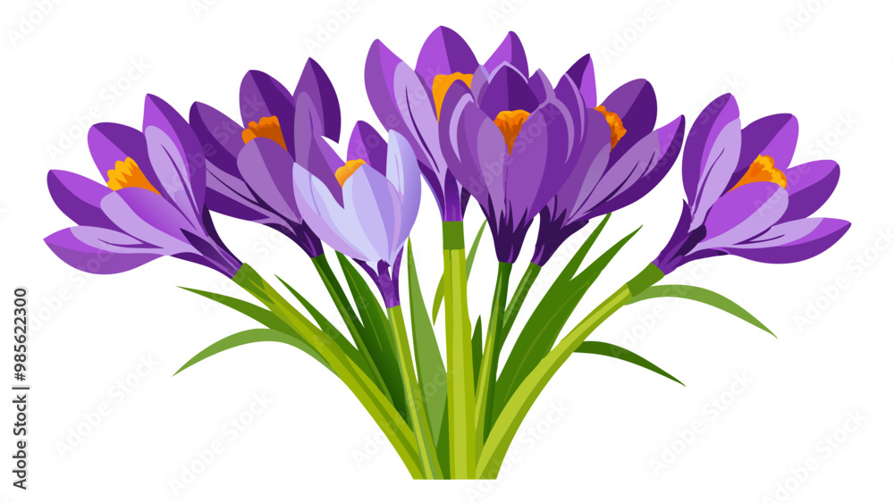 crocuses isolated on white, Illustration of Crocus Flower, Vibrant Crocus Vector Illustration - Delicate Purple Petals with a Bright Yellow Center, Perfect for Early Spring Garden Themes