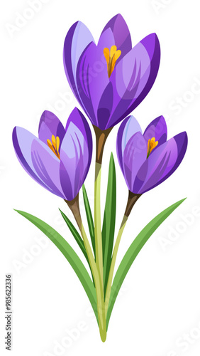 crocuses isolated on white, Illustration of Crocus Flower, Vibrant Crocus Vector Illustration - Delicate Purple Petals with a Bright Yellow Center, Perfect for Early Spring Garden Themes