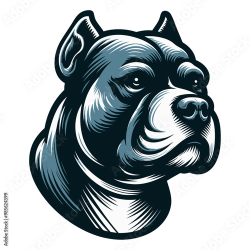 Pitbull Dog Vectors & Illustrations.