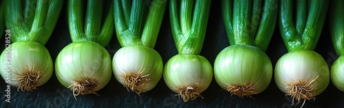 A collection of fresh green onions lined up for wholesale distribution at a market