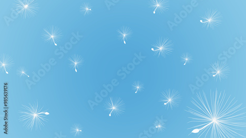 Dandelion seeds blow in the wind on blue background