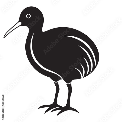 Kiwi bird isolated on a white background