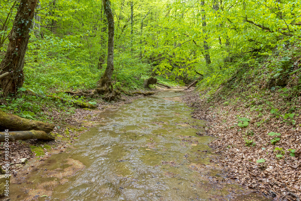 shallow mountain river, staritsa and nature walks, spring day shallow mountain river, staritsa and nature walks, spring day