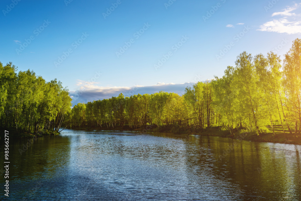 Sunrise or sunset on a pond with birch trees growing along the banks and the sky reflected in the water in summer. Vintage film aesthetic. Sunrise or sunset on a pond with birch trees growing along the banks and the sky reflected in the water in summer. Vintage film aesthetic.