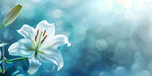 Ethereal White Lilies with Soft Bokeh Background