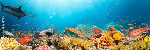 Panel kuchenny z motywem Underwater Tropical Corals Reef with colorful sea fish. Marine life sea world. Tropical colourful underwater seascape.