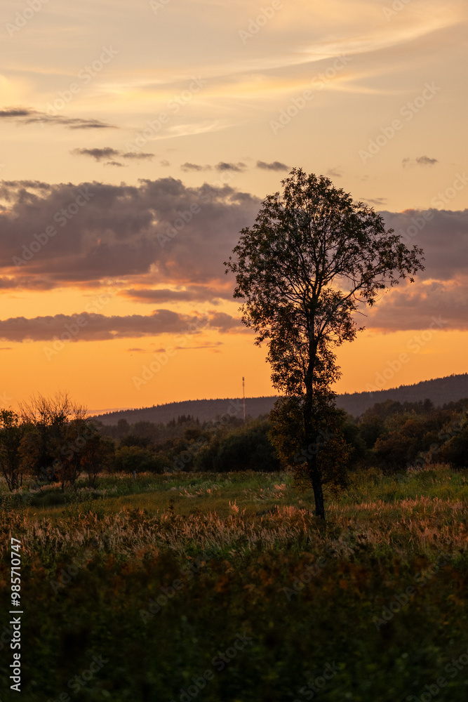 Solitary Tree Silhouetted Against a Glowing Sunset in the Countryside of Rovaniemi, Finland – A Stunning Display of Nature’s Tranquility and Beauty Solitary Tree Silhouetted Against a Glowing Sunset in the Countryside of Rovaniemi, Finland – A Stunning Display of Nature’s Tranquility and Beauty