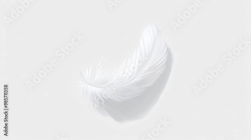 Single white feather floating on white background