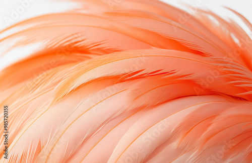 pink flamingo feathers