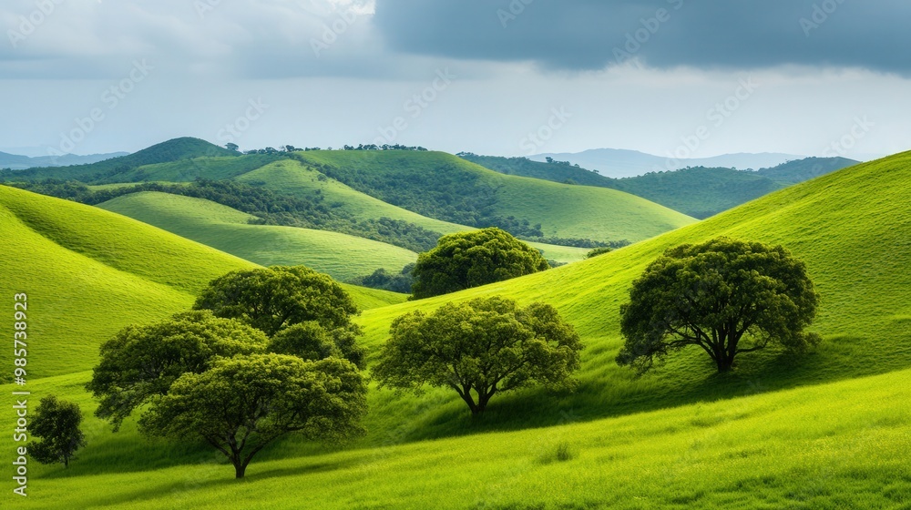 Lush Green Hills, a vibrant landscape showcasing rolling hills adorned with flourishing trees, epitomizing the essence of untouched natural beauty and tranquility. Lush Green Hills, a vibrant landscape showcasing rolling hills adorned with flourishing trees, epitomizing the essence of untouched natural beauty and tranquility.