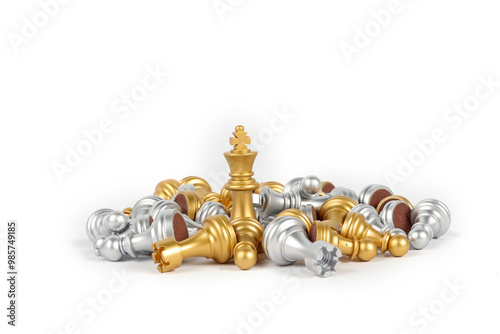 set of chess piece isolated on white 