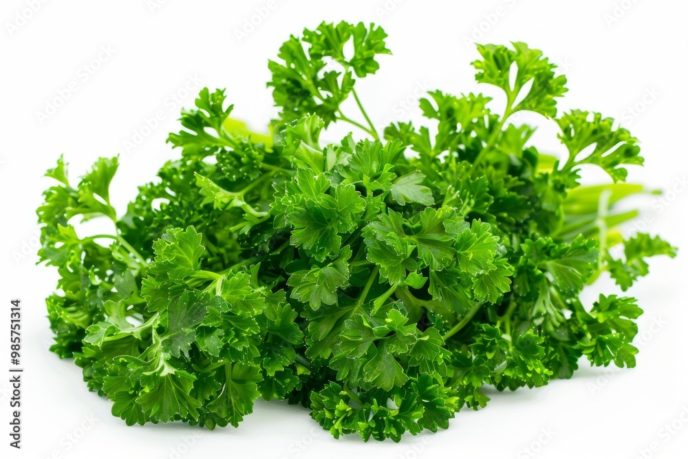 Fototapeta premium A fresh Parsley and Parsley Power isolated on white
