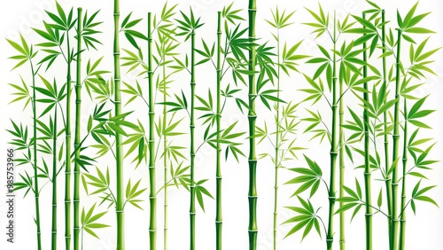 Collection of detailed silhouette s featuring various volumes of bamboo stalks and leaves photo