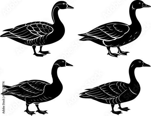 Set of Goose silhouette vector illustration