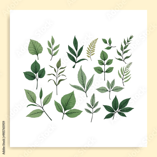 vector illustration of a collection of leaves, watercolor, clip art