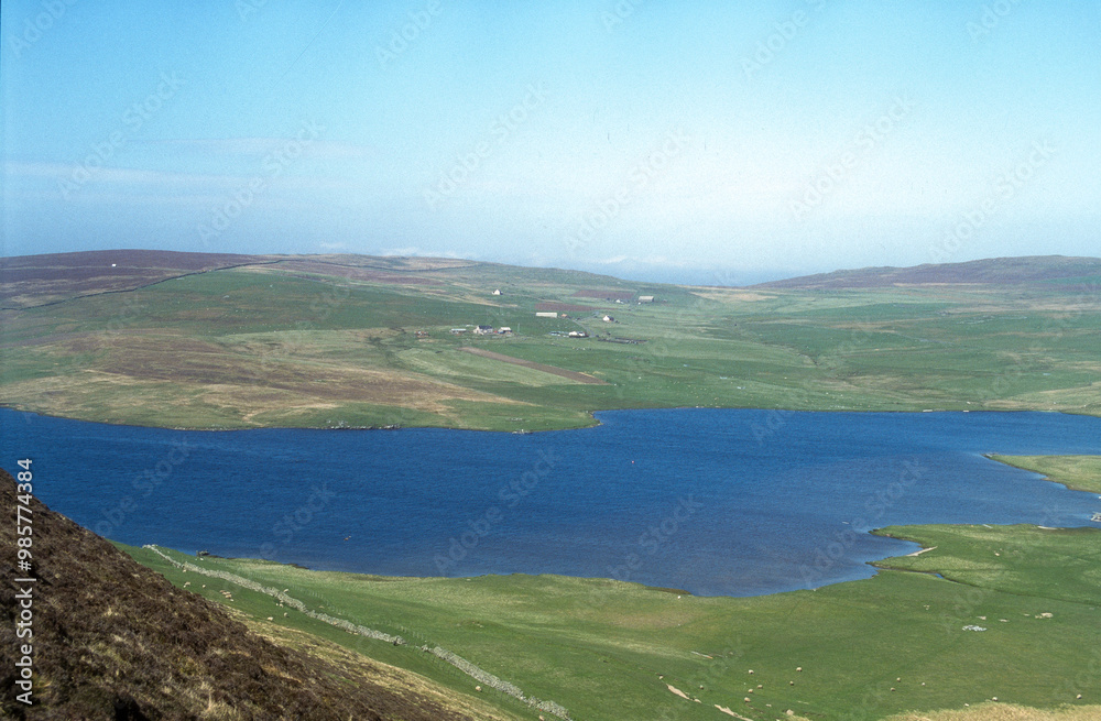 Réserve naturelle, Ile Fetlar, Iles Shetland, Ecosse, Grande Bretagne Réserve naturelle, Ile Fetlar, Iles Shetland, Ecosse, Grande Bretagne