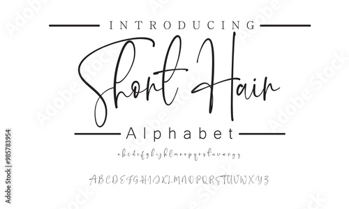 Sophisticated Signature Script Fonts