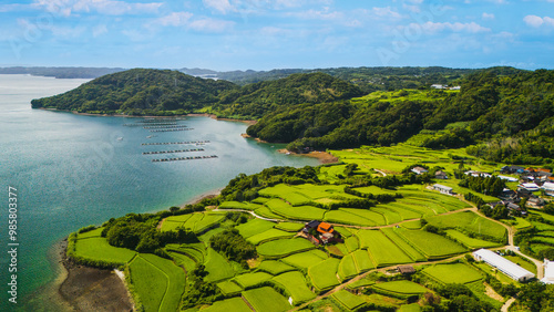 ドローンで撮影した綺麗な田舎の景色（日本）