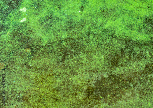 Algae bloom and river water pollution. Natural pattern 