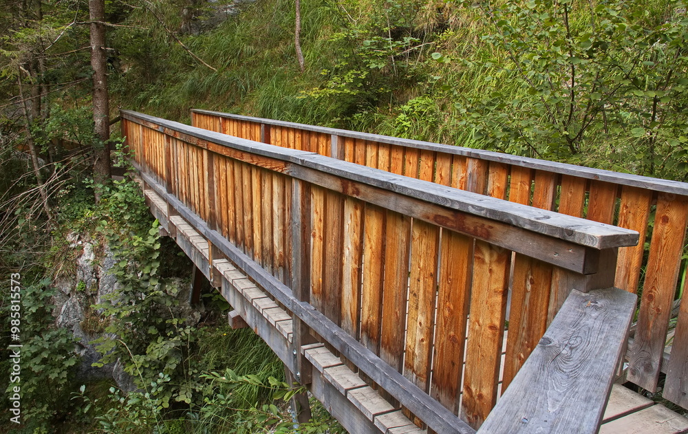 Wooden footbridge on hiking track in Wolfsklamm at Stans, Austria, Europe
Wooden footbridge on hiking track in Wolfsklamm at Stans, Austria, Europe